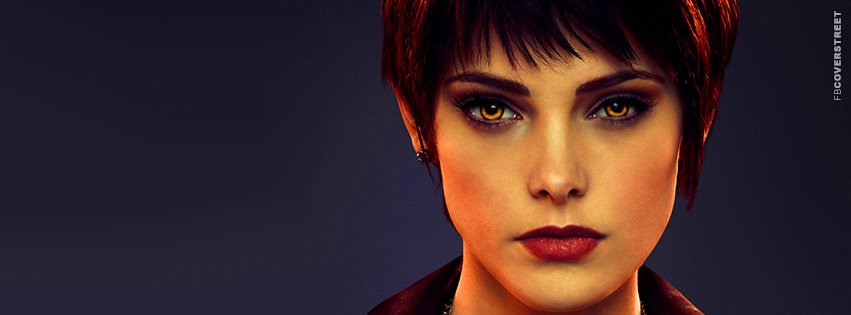 Twilight Saga Breaking Dawn Photo Movie Cover  Wallpaper