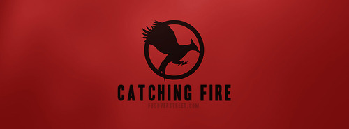 Catching Fire Facebook Covers