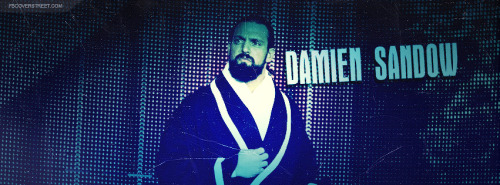 Damien Sandow Facebook Cover