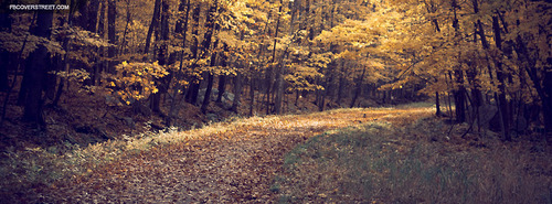 Autumn Forest Pathway 2 Facebook Cover