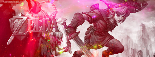 The Legend of Zelda Link Battle Artwork Facebook Cover