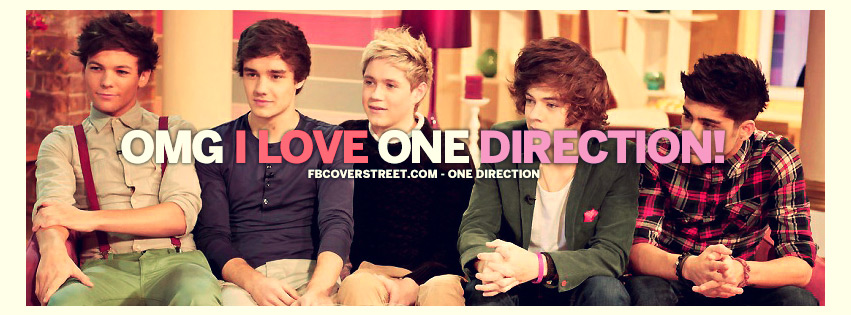 OMG I Love One Direction Facebook cover