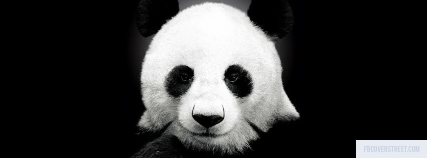 Panda 2 Facebook cover