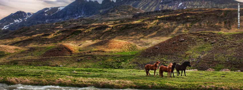 Horses Wild Landscape Facebook Cover