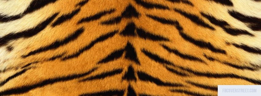 Tiger Print Facebook cover