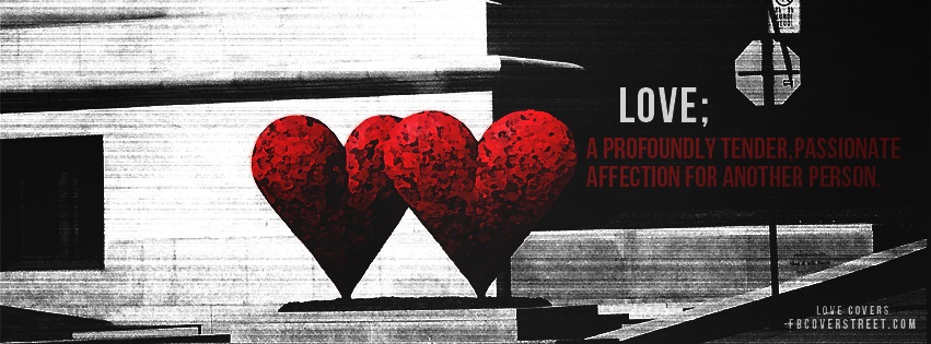 Definition of Love Facebook Cover