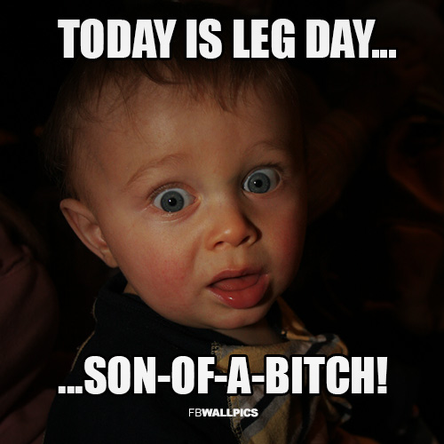 Today Is Leg Day Fitness Meme Facebook Pic