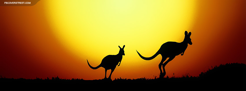 Australia Kangaroos Facebook cover