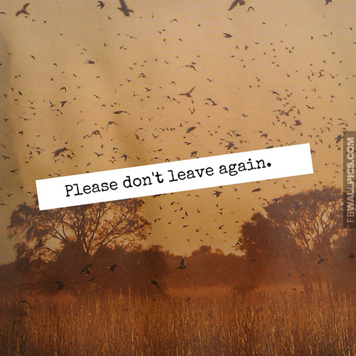Please Dont Leave Again Quote Facebook picture