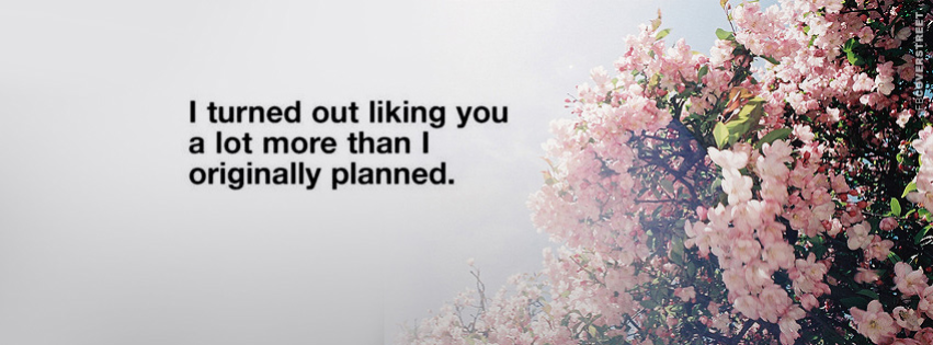 I Like You A Lot More Than I Planned  Facebook Cover