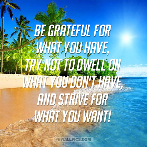 Strive For What You Want Advice Quote  Facebook picture