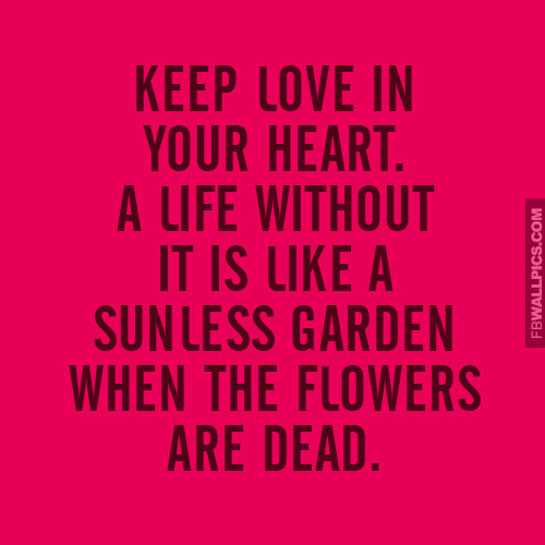 Keep Love In Your Heart Quote  Facebook picture