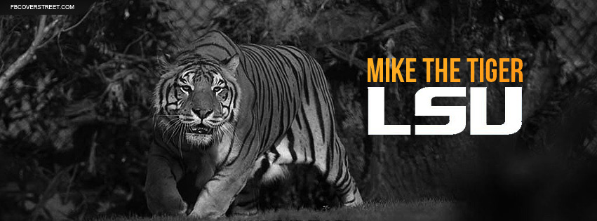 Louisiana State University Mike The Tiger Facebook cover