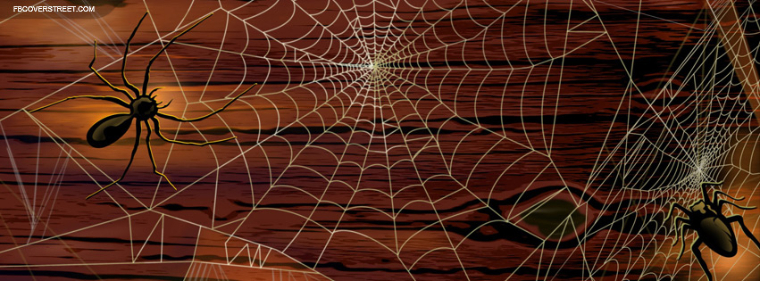 Spider Web Huge Spiders Facebook cover