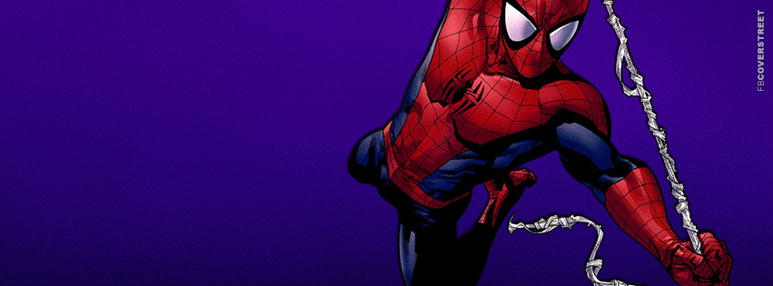 Spiderman Hanging  Facebook Cover