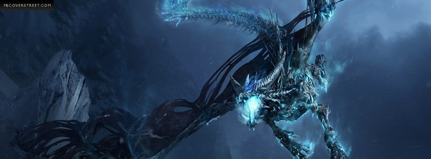 World of Warcraft Dragon Facebook Cover