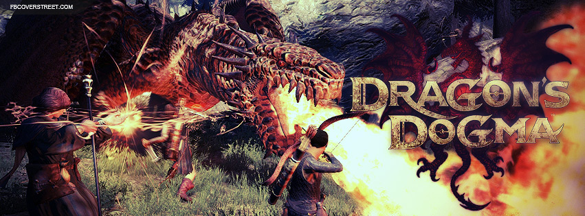Dragons Dogma Facebook Cover