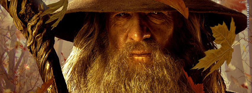 Gandalf The Grey Lord of The Rings Facebook Cover