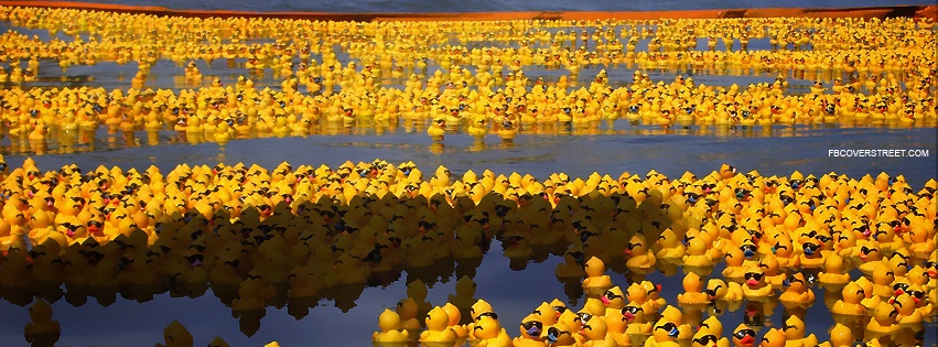 Thousands of Rubber Duckies Facebook Cover