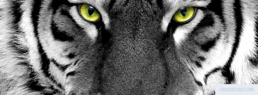 Tiger 4 Facebook cover