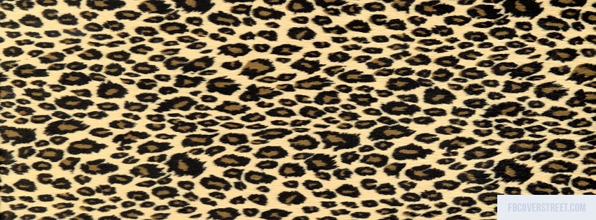 Cheetah Print 3 Facebook cover