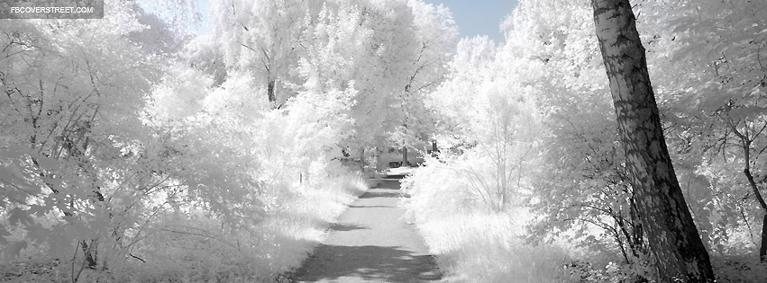 Beautiful Infrared Photograph Facebook cover