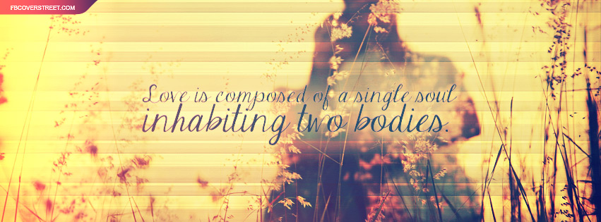 Love Is A Single Soul Inhabiting Two Bodies Quote Facebook cover