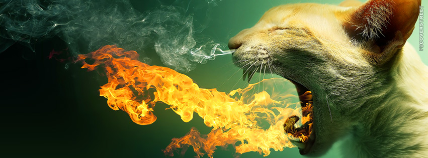 Fire Breathing Cat  Facebook Cover