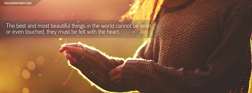 Best And Beautiful Things Must Be Felt With The Heart Quote Facebook cover