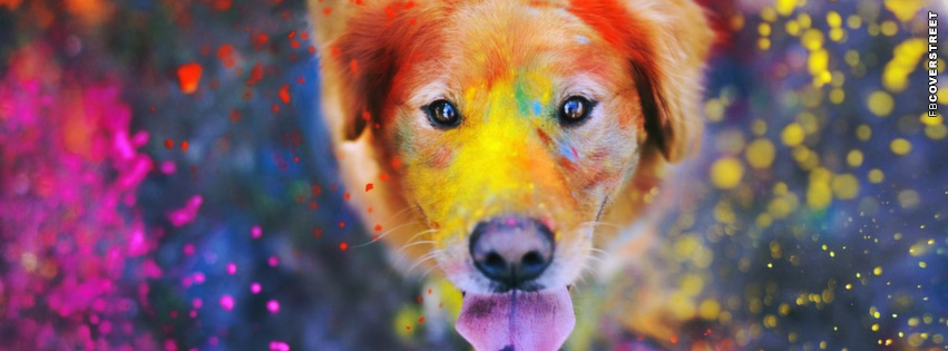 Color Powder Dog  Facebook cover