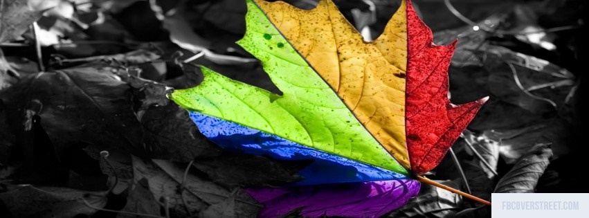 Rainbow Leaf Facebook cover