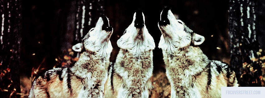 Howling Wolves Facebook cover