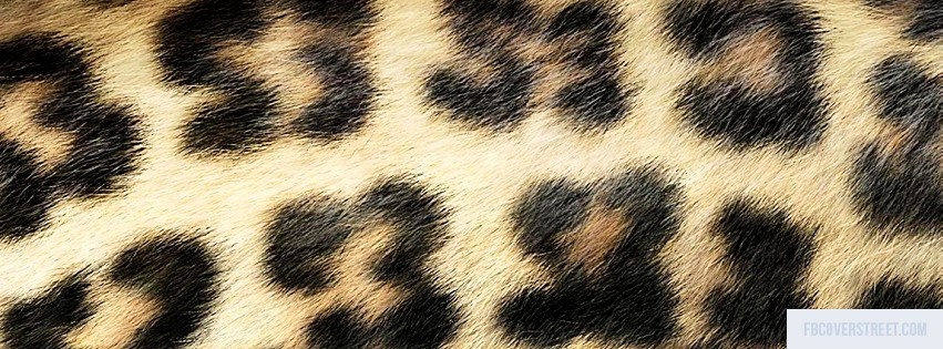 Cheetah Print Facebook cover