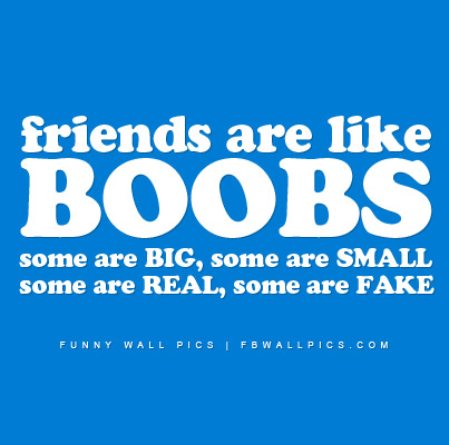 Friends Are Like Boobs Facebook picture