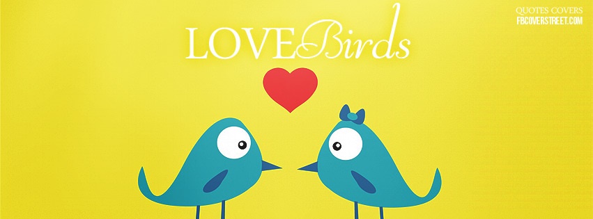 Love Birds Facebook cover