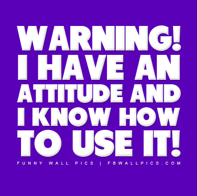 Warning I Have An Attitude Facebook picture