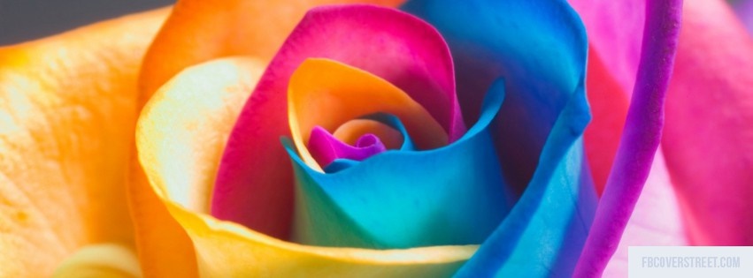 Rainbow Rose Facebook cover