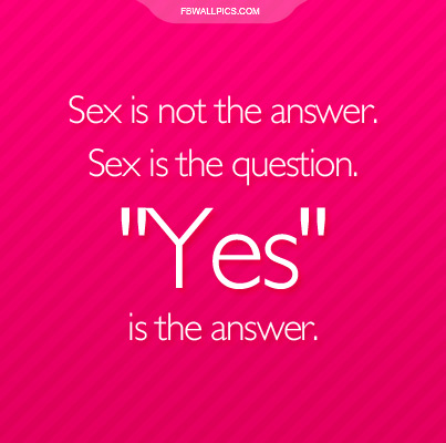 Sex Is Not The Answer One Liner Facebook picture