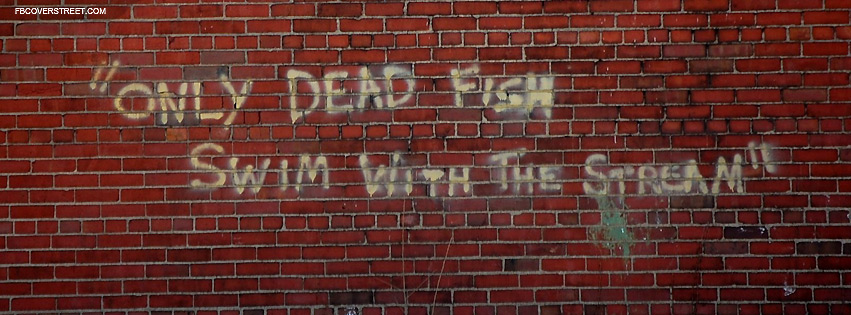 Only Dead Fish Swim With The Stream Facebook Cover
