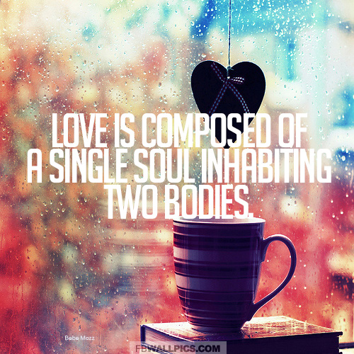 A Single Soul Inhabiting Two Bodies Quote Facebook Pic