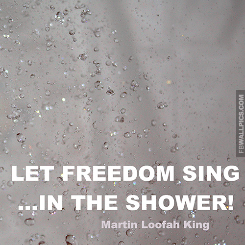 Let Freedom Sing Quote Facebook picture