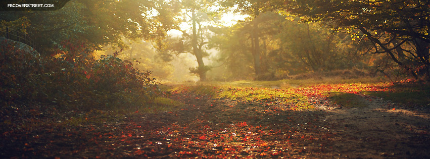 Bed of Leaves In Autumn Facebook cover