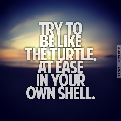Try To Be Like The Turtle Inspiring Quote Facebook picture