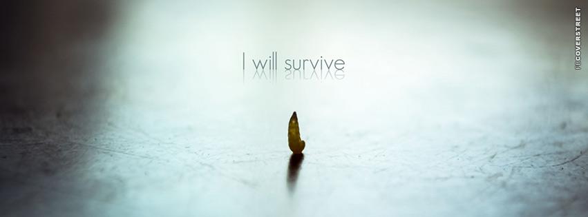 I Will Survive  Facebook cover