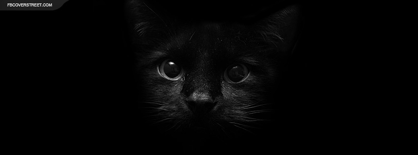 Shadowed Black Cat  Facebook Cover
