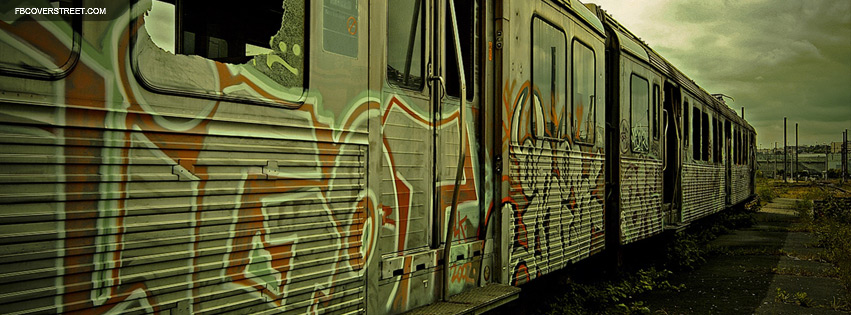 Graffiti Busted Train Facebook cover