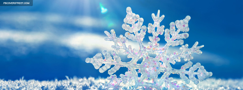 Beautiful Snowflake Photograph Facebook cover