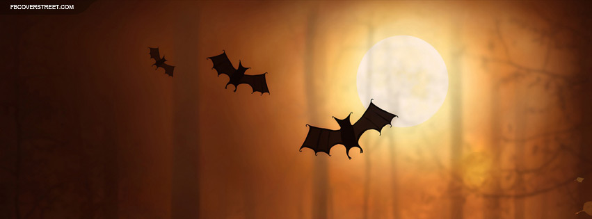 Bats Flying Over Moon 2 Facebook cover