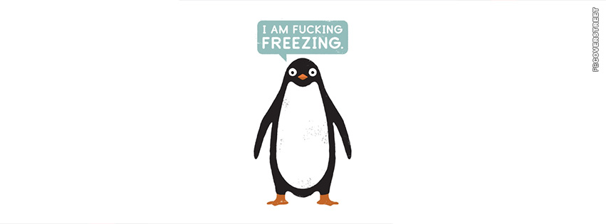 Freezing Penguin  Facebook Cover