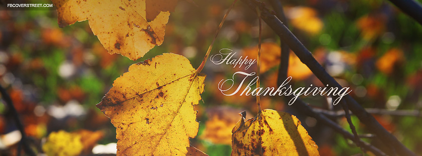 Happy Thanksgiving Fall Leaves Facebook cover